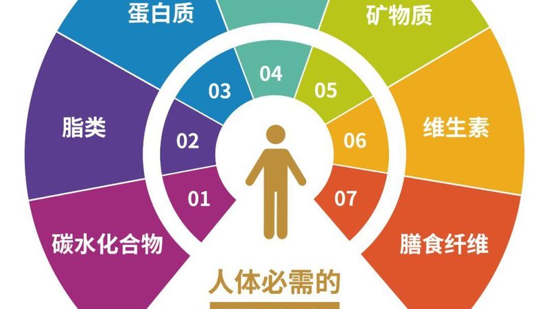 广州保健食品OEM代加工：揭秘高品质生产背后的秘密
